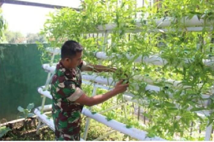 Danrem Purwo Sudaryanto: Manfaatkan Pekarangan Rumah dengan Bercocok Tanam