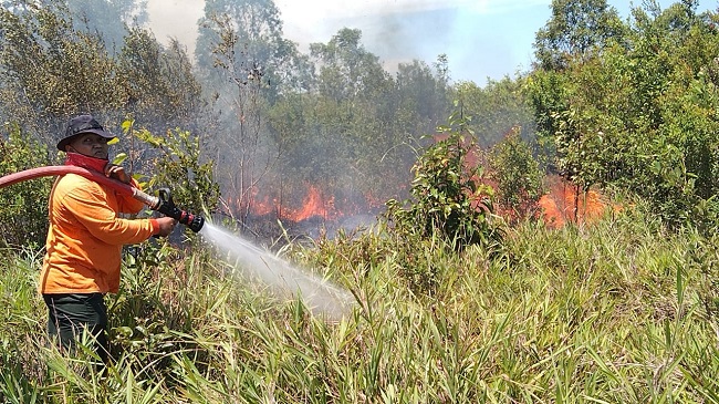 Selain Pandemi Covid, Kotawaringin Barat Juga Dalam Ancaman Karhutla