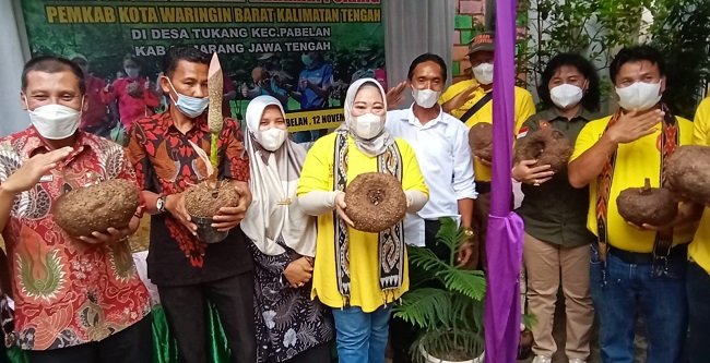 Bersama Kades se-Kobar, Bupati Sambangi Tukang untuk Belajar Budidaya Porang