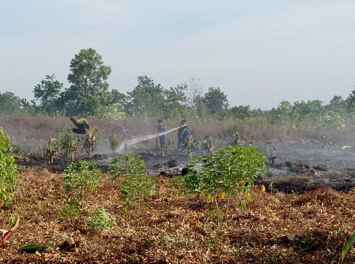 BMKG Sebut ada Lima Hot Spot di Kotim, Rawan Kebakaran