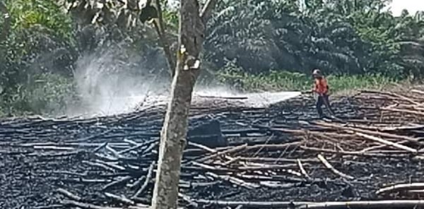 Sebaran Hotspot Karhutla di Kobar Capai 7 Titik, Ini Lengkapnya