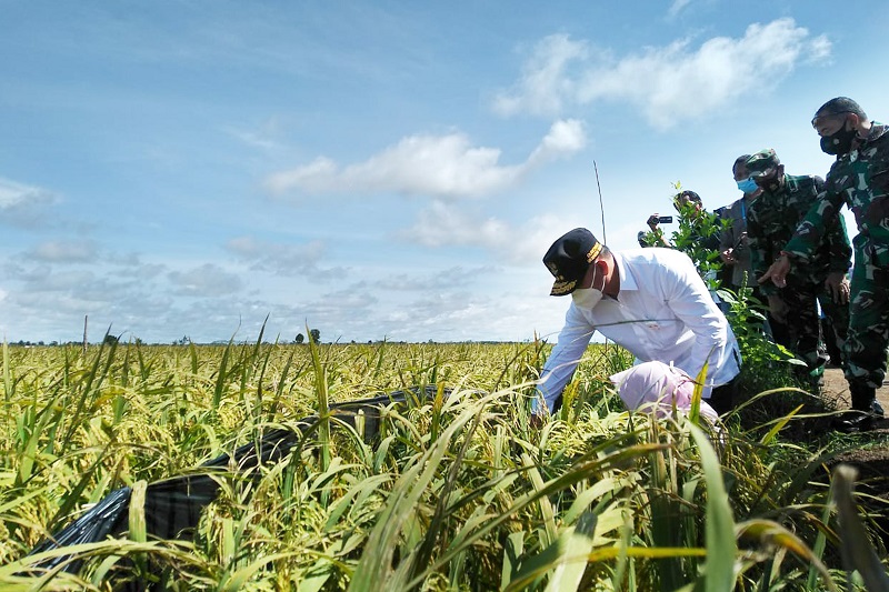 Gubernur Sugianto Paparkan Keberhasilan Food Estate di Kalteng, Ini Lengkapnya