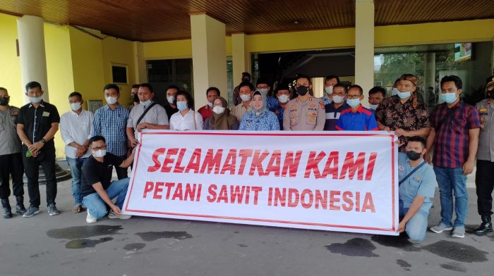 Petani Sawit di Kotawaringin Barat Minta Presiden Cabut Larangan Ekspor CPO