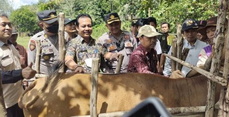 Dinas Pertanian dan Perikanan Melawi