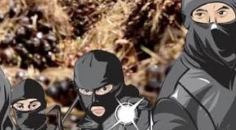 Harga Sawit Anjlok, Ninja Sawit Perusahaan Ikut Menurun