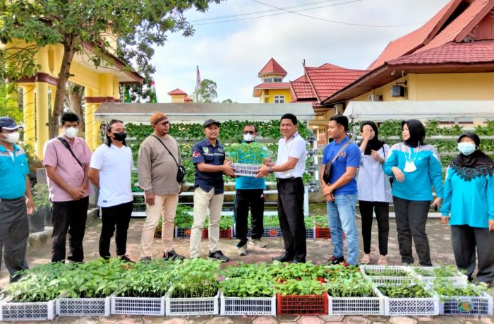 DKP Ajak Jurnalis untuk Bertani di Pekarangan, Kuatkan Ketahanan Pangan Keluarga