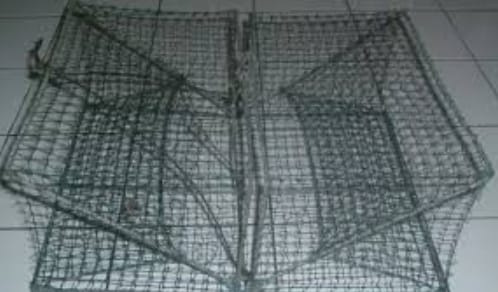 Bubu Lipat, Inovasi Alat Tangkap Ikan yang Ringkas dan Ramah Lingkungan