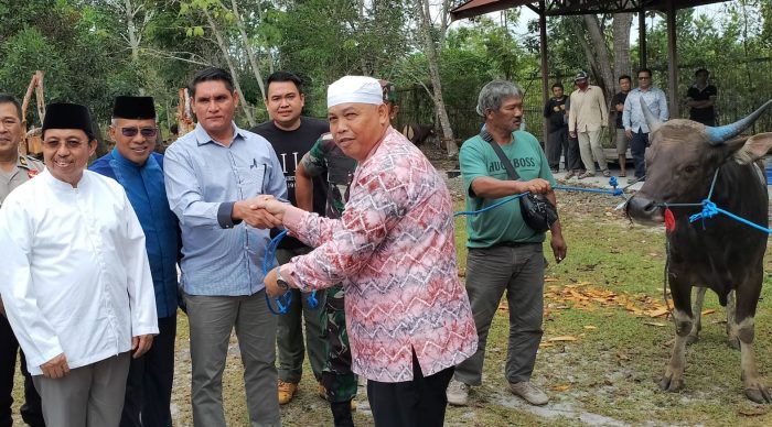 Pemkab Kobar Salurkan Bantuan 33 Hewan Kurban