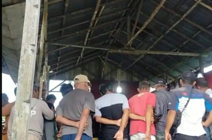 Arena Judi Sabung Ayam di Sampit Tiarap!