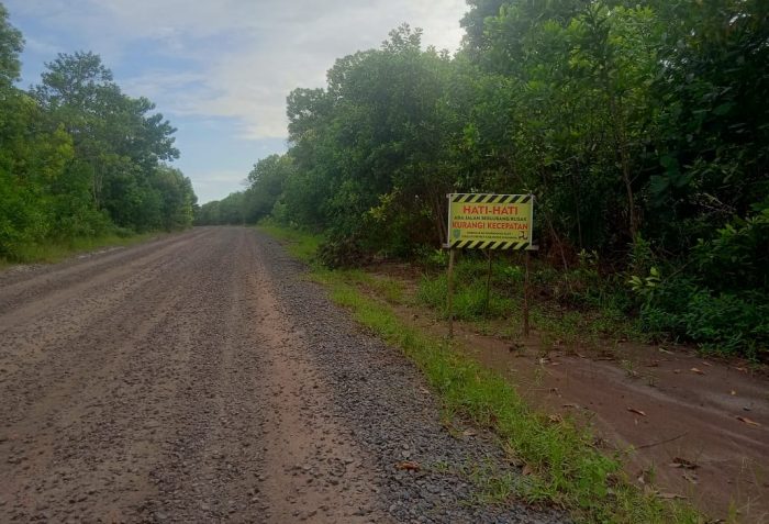 Sering Terjadi Kecelakaan, Masyarakat Sukamara Diminta Hati-hati Saat Melintas di Jalan Ini