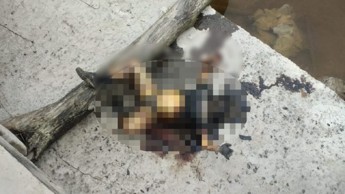 Mr X yang Ditemukan Membusuk Diduga Jadi Korban Pembunuhan