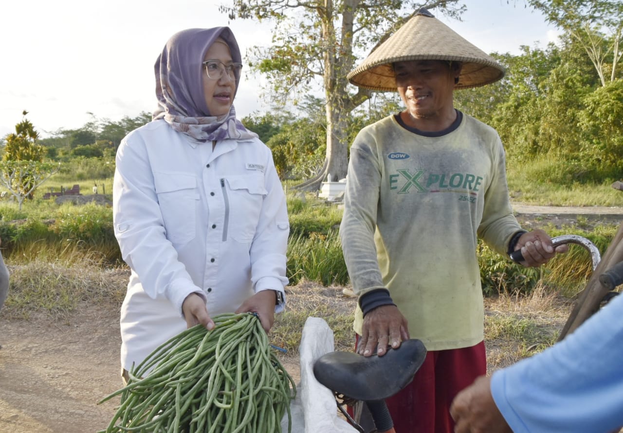 Bangun Pabrik Penggilingan Padi akan Dibangun di Desa Pantik pada 2023