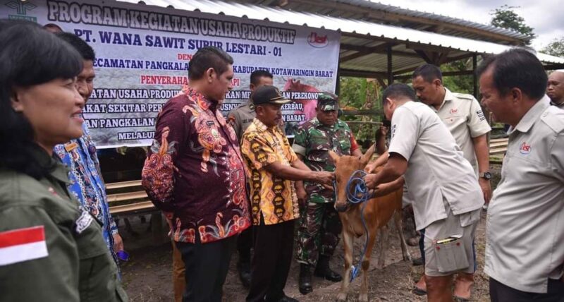 Pemkab Kobar Terima Bantuan 10 Ekor Sapi dari PT Best Agro Plantation