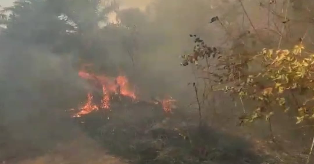 30 Hektar Hutan dan Lahan di Desa Sungai Bakau Terbakar