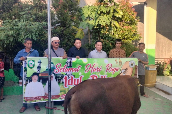 Jelang Idul Adha, Pemkab Kotim Distribusikan 120 Ekor Sapi Kurban