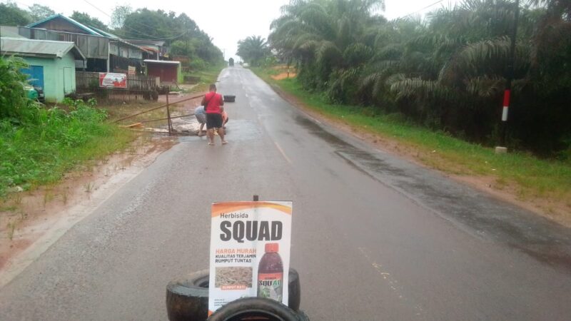 Aspal Jalan Lintas Sampit-Palangka Raya Amblas