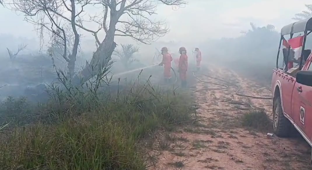 Karhutla Landa 500 Hektare Lahan di Kobar Selama Periode Januari-Agustus 2023