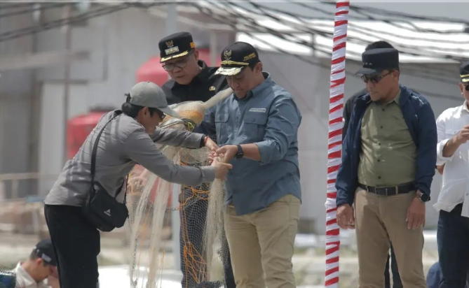 Pj Bupati Sukamara Sambut Wagub Kalteng dalam Rangka Panen Perdana Udang Vaname