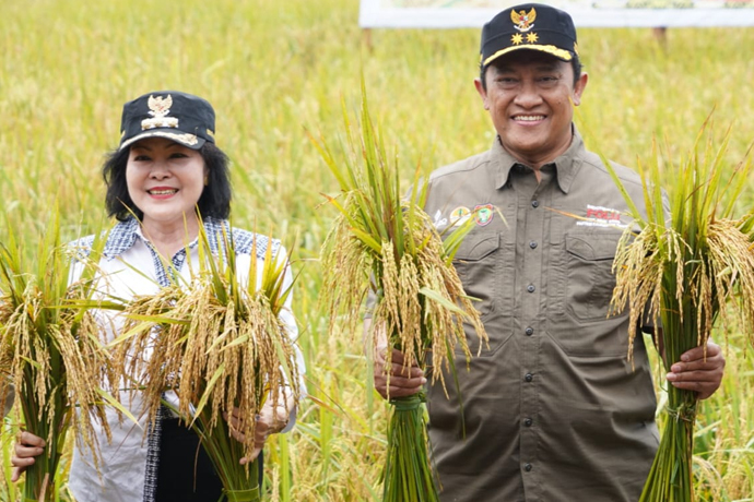 Pemprov Kalteng dorong percepatan tanam padi dan pembangunan fasilitas pengolahan modern