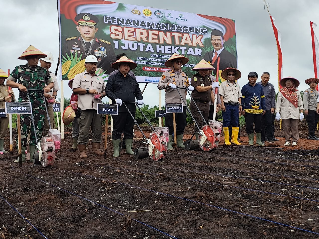 Pemkab Kotim Siapkan 23.217 Hektar Lahan Jagung