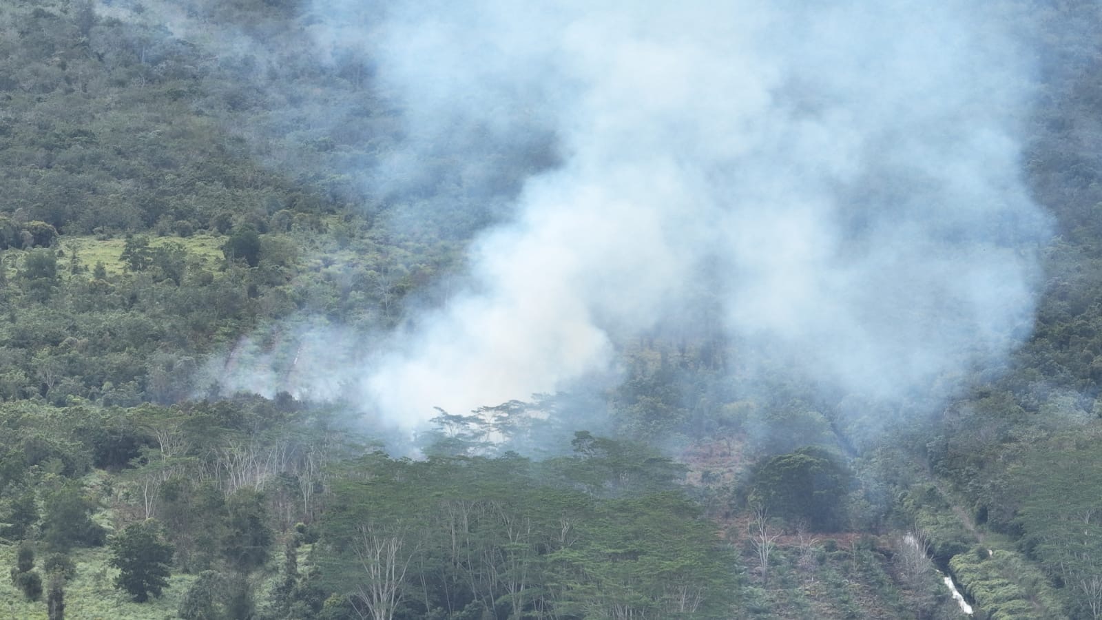 Dua Lokasi Kebakaran Lahan Terjadi di Kotim