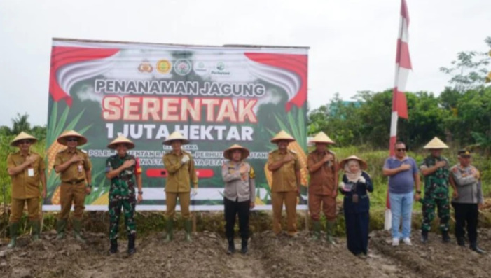 Muhlis Dorong Inovasi untuk Wujudkan Swasembada Pangan Jagung di Barito Utara