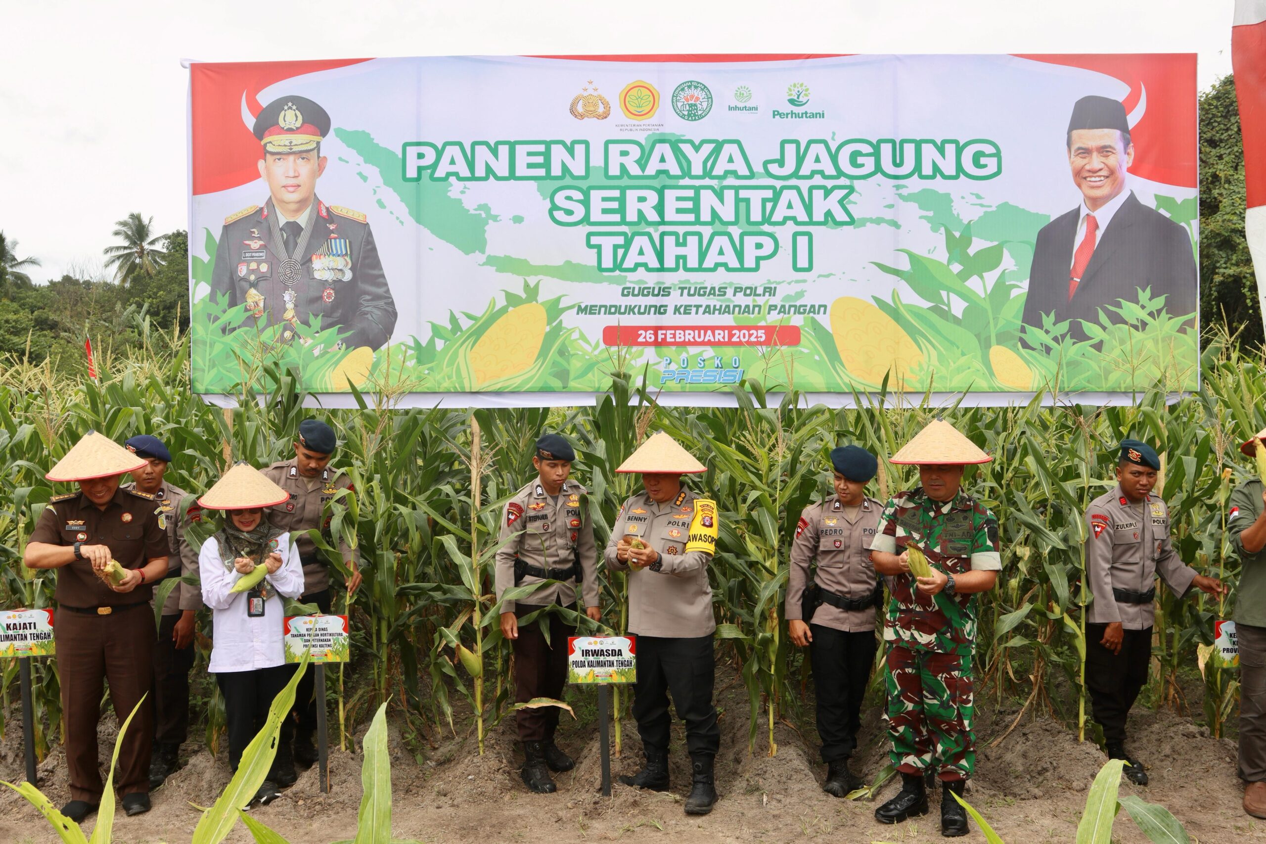 Polda Kalteng Panen Raya Jagung Perdana di Lahan Seluas Satu Hektar