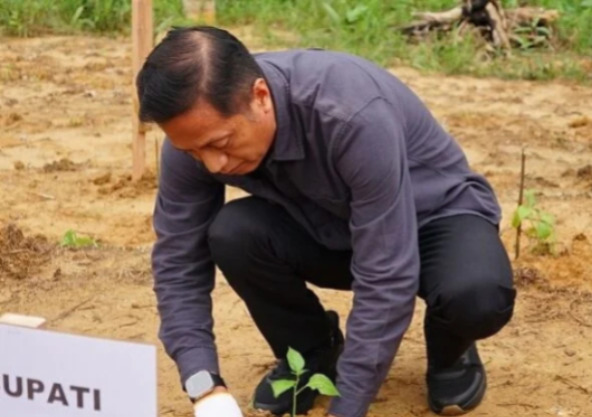 Pemkab Barito Utara Dorong Kemandirian Pangan Lewat Budidaya Cabai