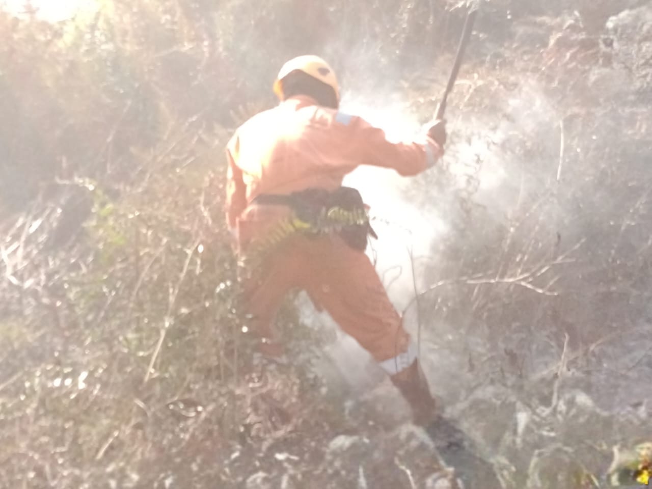 Api Mengintai di Tengah Cuaca Cerah, TRC BPBD Kobar Gercep Padamkan Karhutla di Raja Seberang