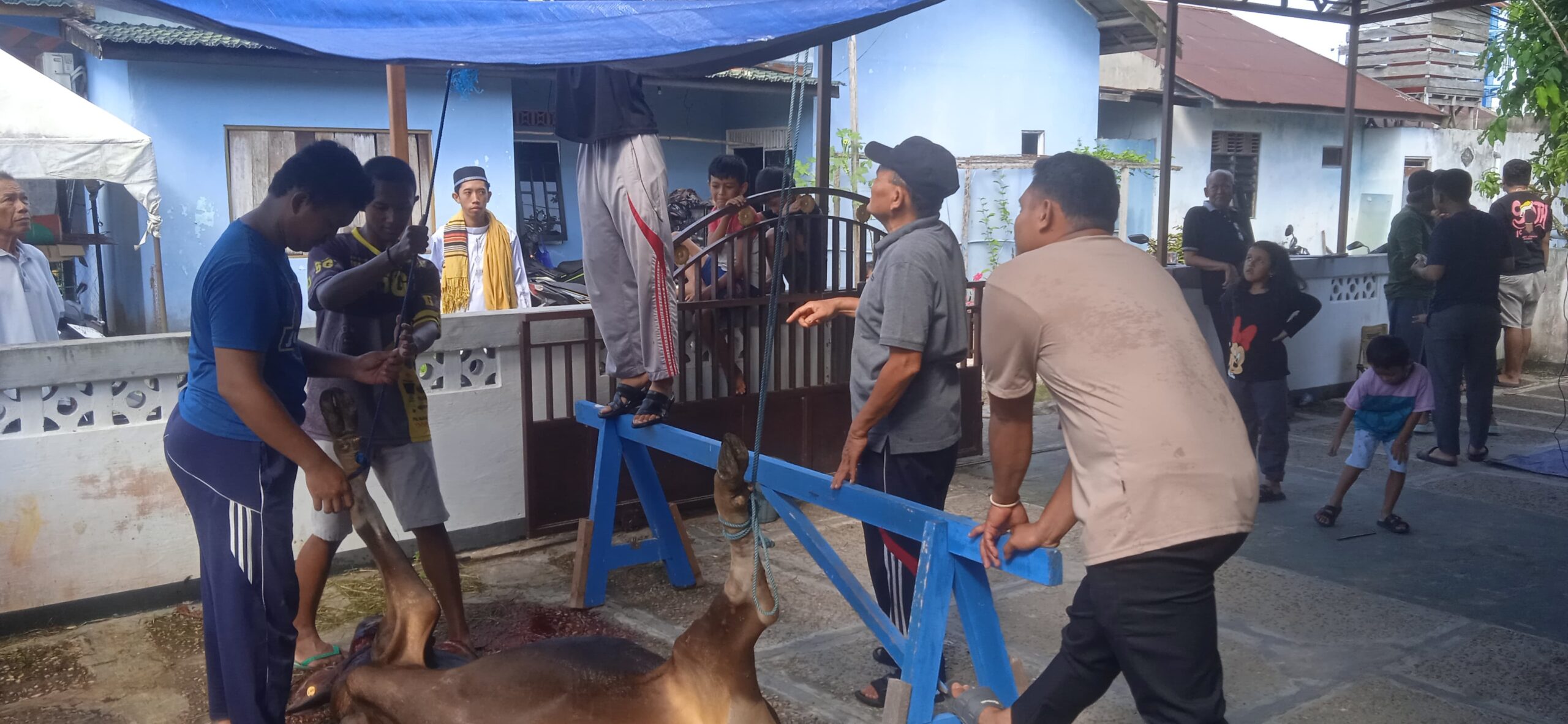 Pemko Palangka Raya Serahkan Seekor Sapi di Bandar Estate, Warga Antusias Terima Daging Kurban