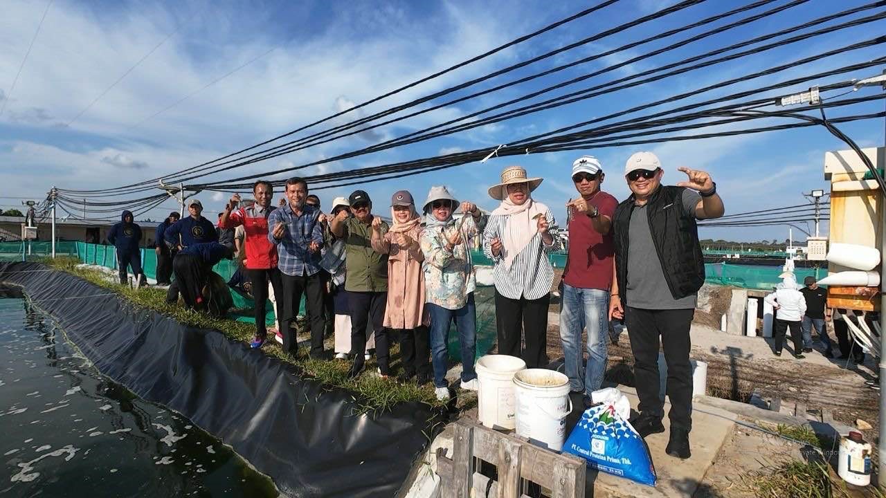 Pemprov Kalteng Kembangkan Shrimp Estate untuk Dorong Ekonomi dan PAD Daerah