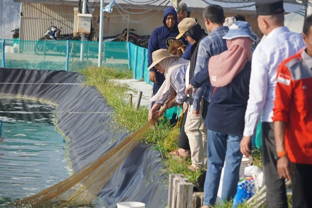 Pemprov Kalteng Dorong Shrimp Estate Jadi Basis Investasi Daerah Berkelanjutan