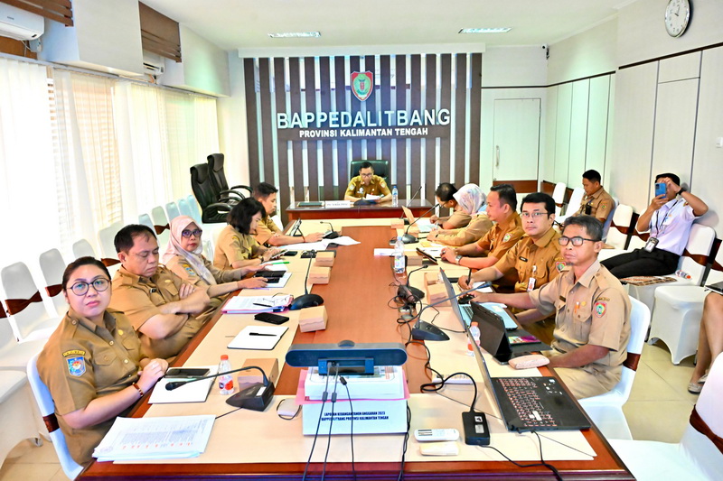 Kalteng Rancang Arah Pembangunan Lewat Konsultasi RPJMD