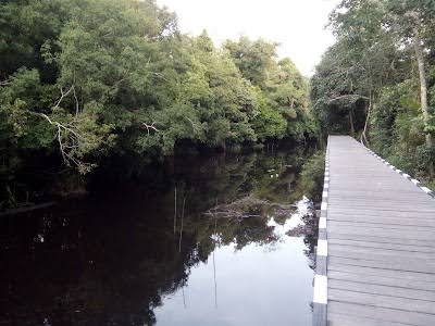 Dusun Betung dan Janji Wisata Ramah Lingkungan di Katingan