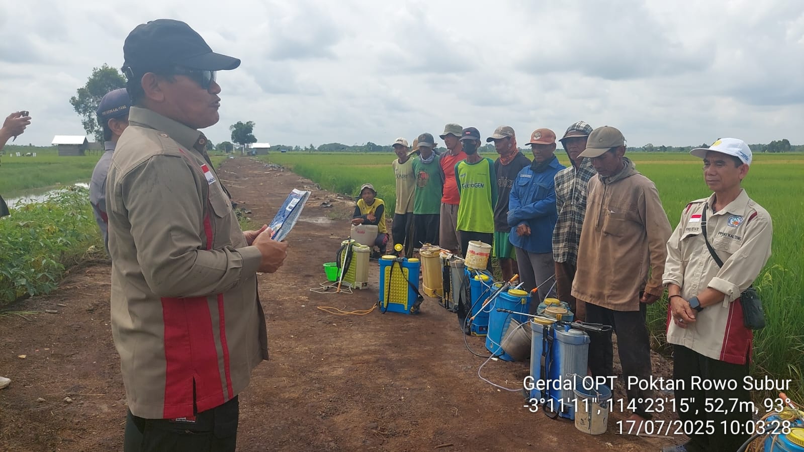 82 Hektare Padi Terindikasi Hawar Daun, Dinas Pertanian Kalteng Turun Tangan