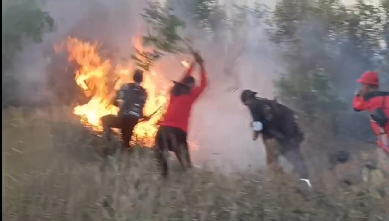 Dua Titik Karhutla di Kobar Disebabkan Pembersihan Lahan