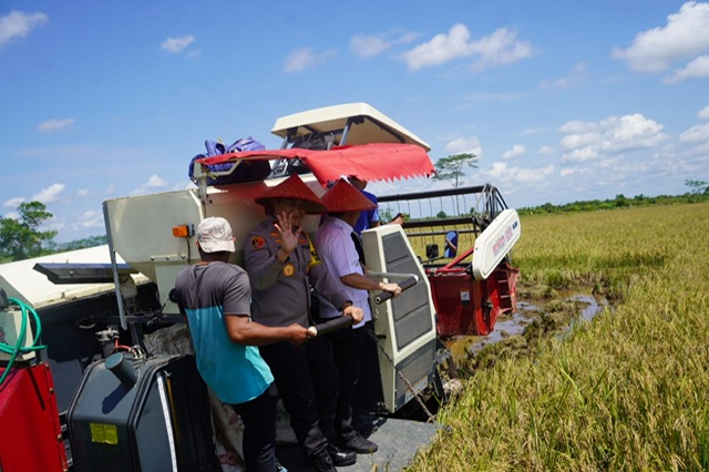Panen Raya di Kalteng Jadi Momentum Percepatan Swasembada Pangan