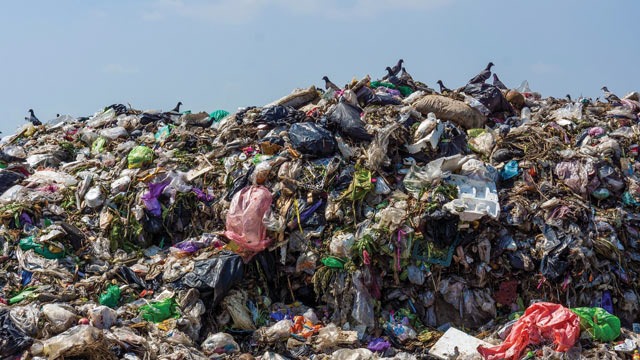 Palangka Raya Produksi 150 Ton Sampah per Hari, DLH Genjot Pengolahan Ramah Lingkungan