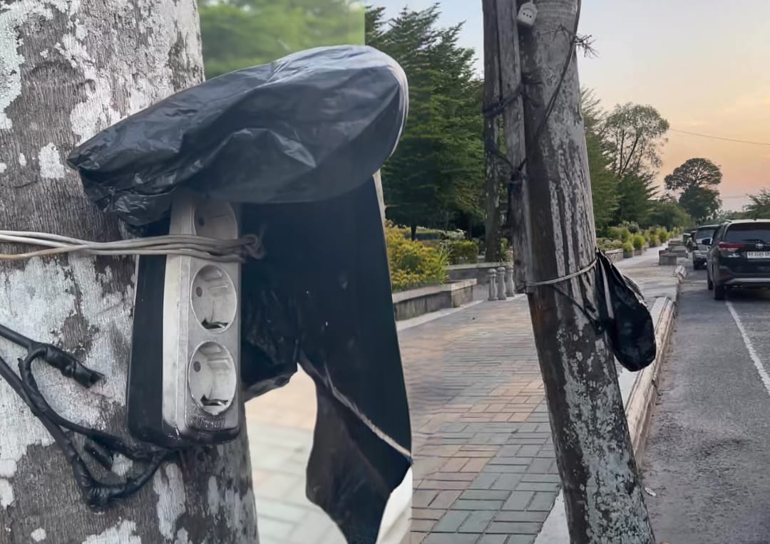 Stop Kontak di Pohon Taman Kota Dinilai Merusak Estetika, Netizen Minta Penertiban Segera Dilakukan