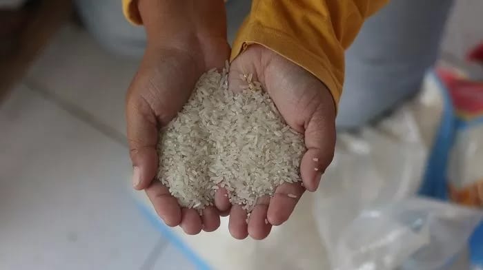 Koordinasi Diperkuat, Kalteng Antisipasi Peredaran Beras Oplosan