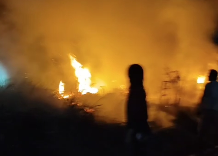 Kebakaran Lahan Dekat Pemukiman di Pangkalan Bun, BPBD Kobar Gerak Cepat Padamkan Api
