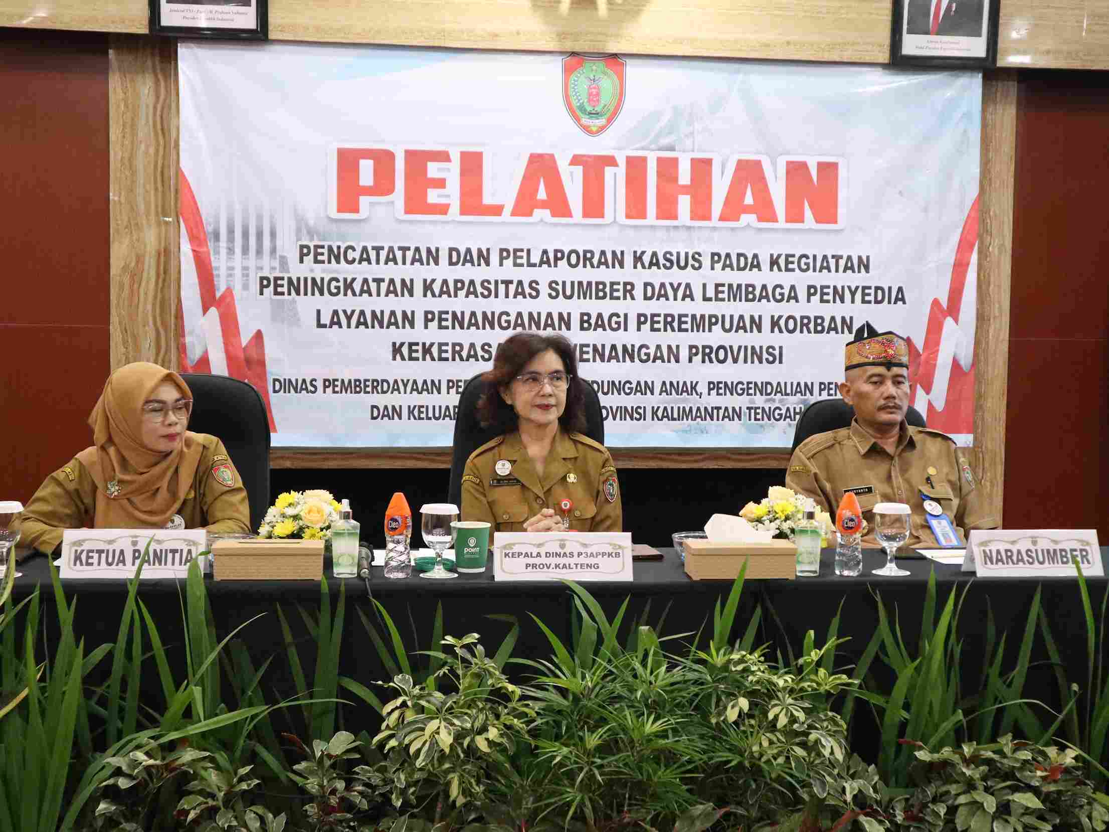 Lewat SIMFONI PPA, Pemprov Kalteng Dorong Perbaikan Sistem Data Kekerasan Terhadap Perempuan dan Anak