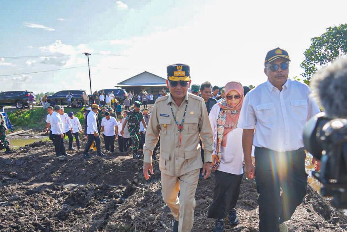 Gubernur Tinjau Proyek Cetak Sawah di Pulang Pisau, Optimis Target Tercapai