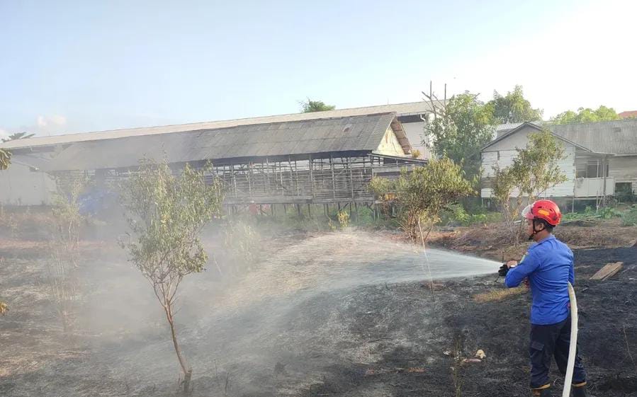 Waspada! Kotim Dilanda Karhutla di Tengah Musim Kemarau