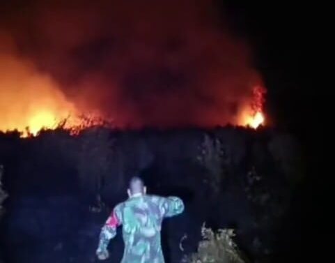 Lahan di Jalan Jaksa Agung Sampit Sudah Empat Kali Terbakar