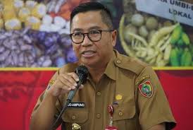 Pemprov Kalteng Percepat Penataan Pertambangan Rakyat