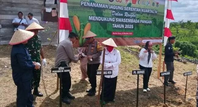 Tanam Jagung Serentak di Barito Utara, Pemkab Dorong Ketahanan Pangan Lewat Sinergi Lintas Sektor