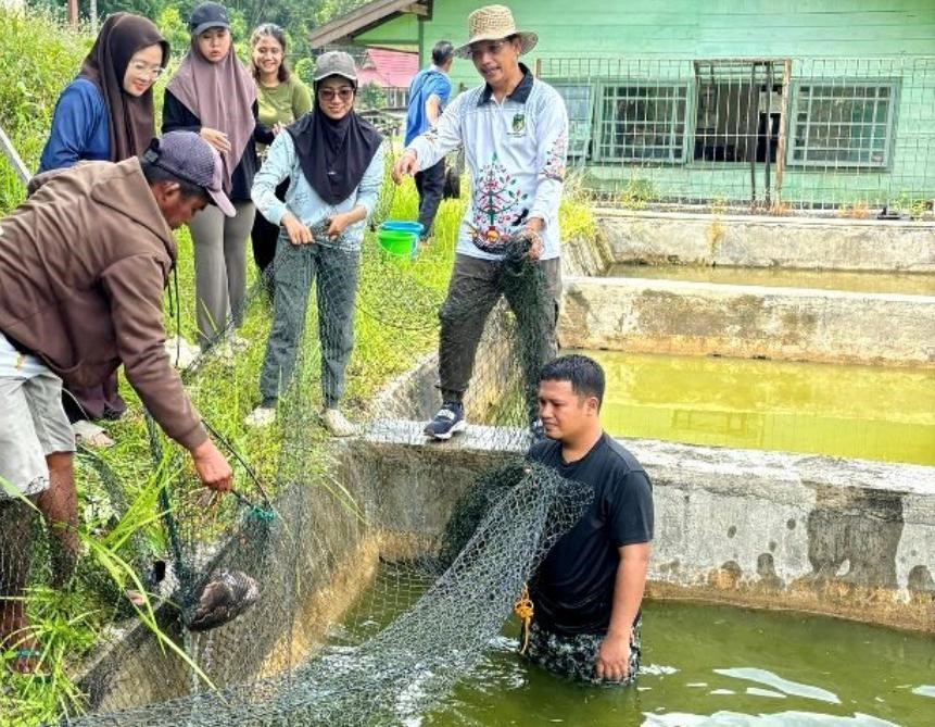 DKPP Barito Utara Dorong Ketahanan Pangan Lewat Panen Bibit Ikan di BPBAT Lahei