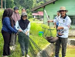 DKPP Barito Utara Panen Bibit Ikan Dorong Ketahanan Pangan Lokal