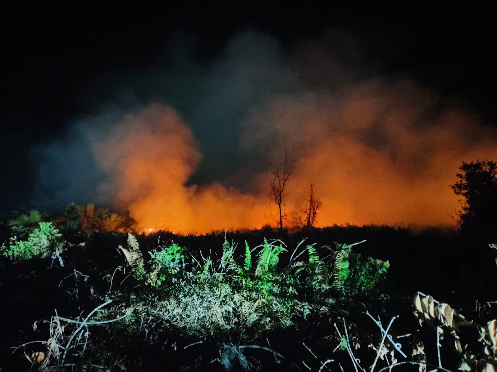 Karhutla Bikin Panik Warga, Api Hanya Ratusan Meter dari Perumahan Sinar Fajar